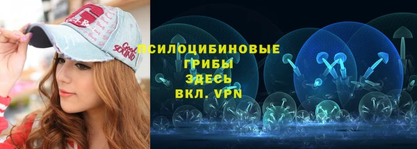 мдма Медвежьегорск
