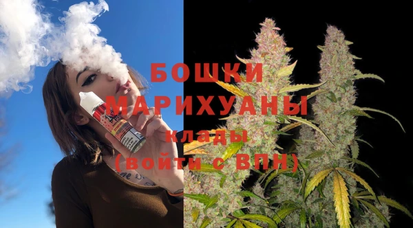 мдпв Майский