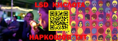 дживик Берёзовский