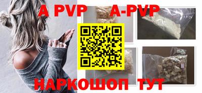 СК Волгодонск