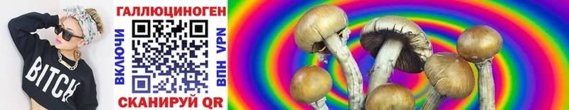 наркошоп  Железногорск  Псилоцибиновые грибы Magic Shrooms 