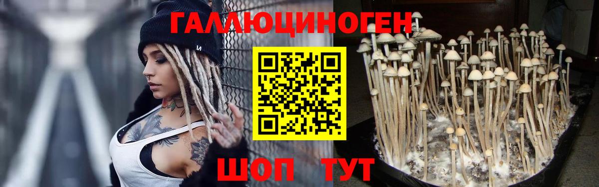 Галлюциногенные грибы ЛСД  Вход с VPN  Железногорск  Галлюциногенные грибы ЛСД 