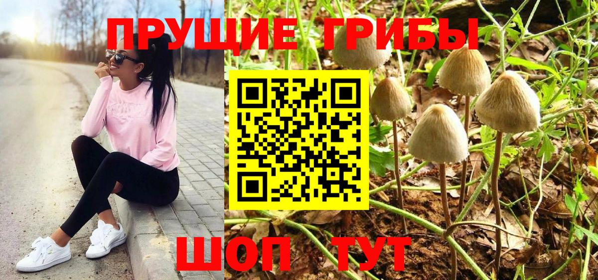 Псилоцибиновые грибы мицелий Железногорск